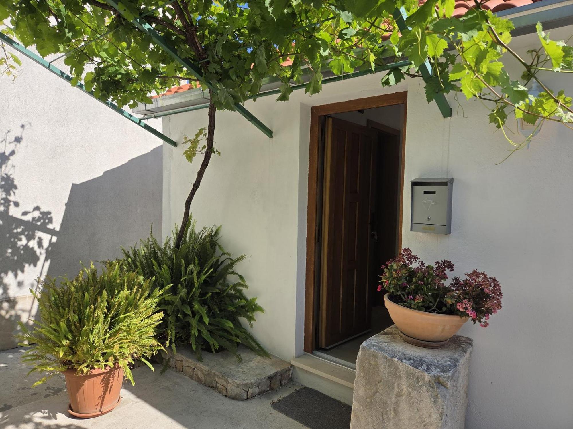 Apartments Jelena Supetar - Four Apartments - A Small House With A Private Yard - Two-Room Apartment With A Sea View - Studio Apartment - Two-Room Apartment With Garden View- Free Parking Extérieur photo